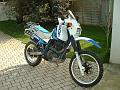 Suzuki  650 Djebel b (2)